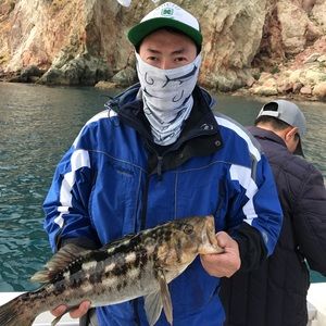 Meet your Posher, Thai